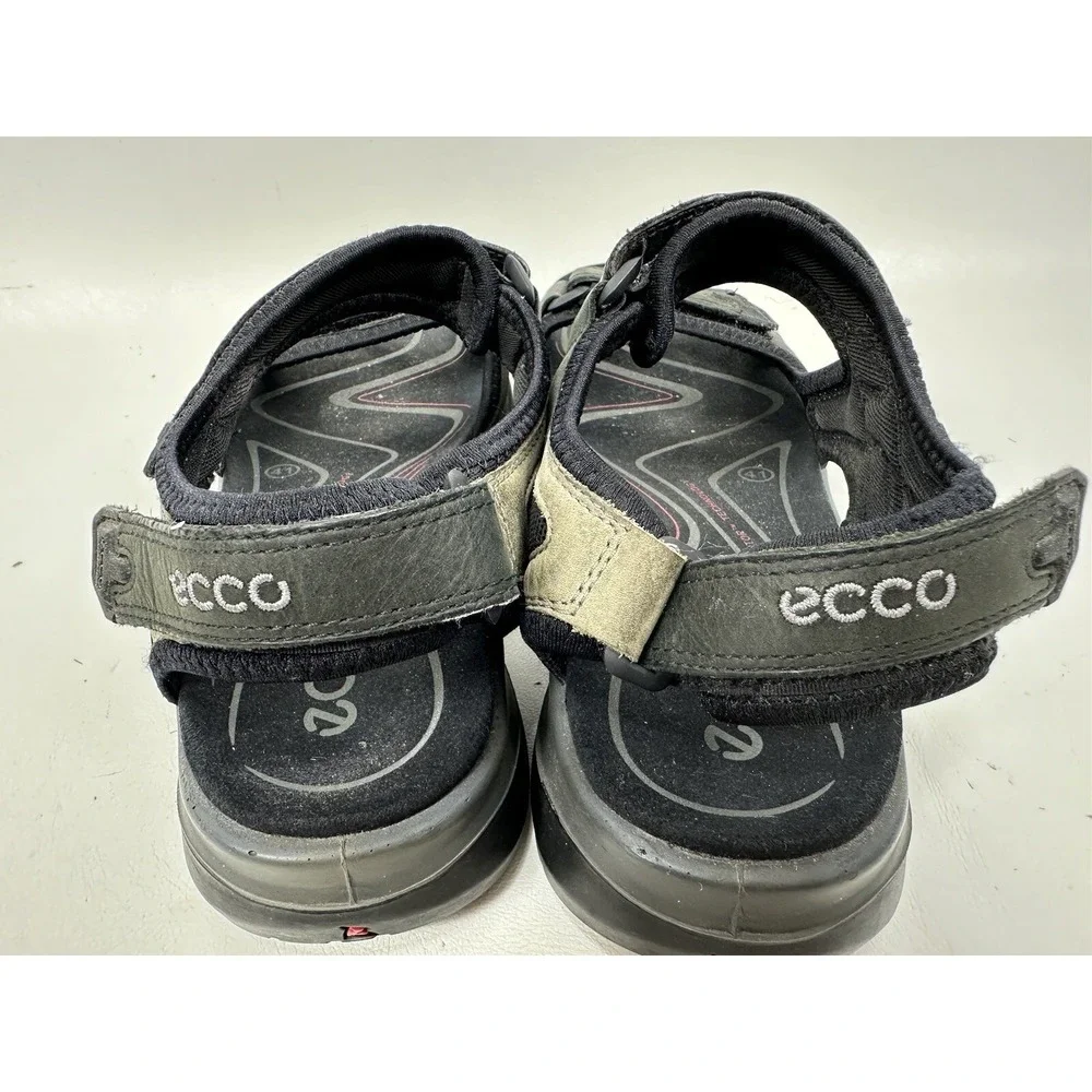 Ecco yucatan receptor